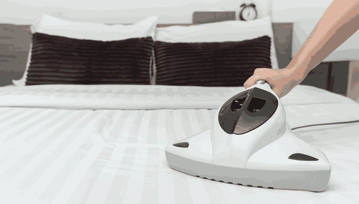 Professional Mattress Cleaning Kurunjang
